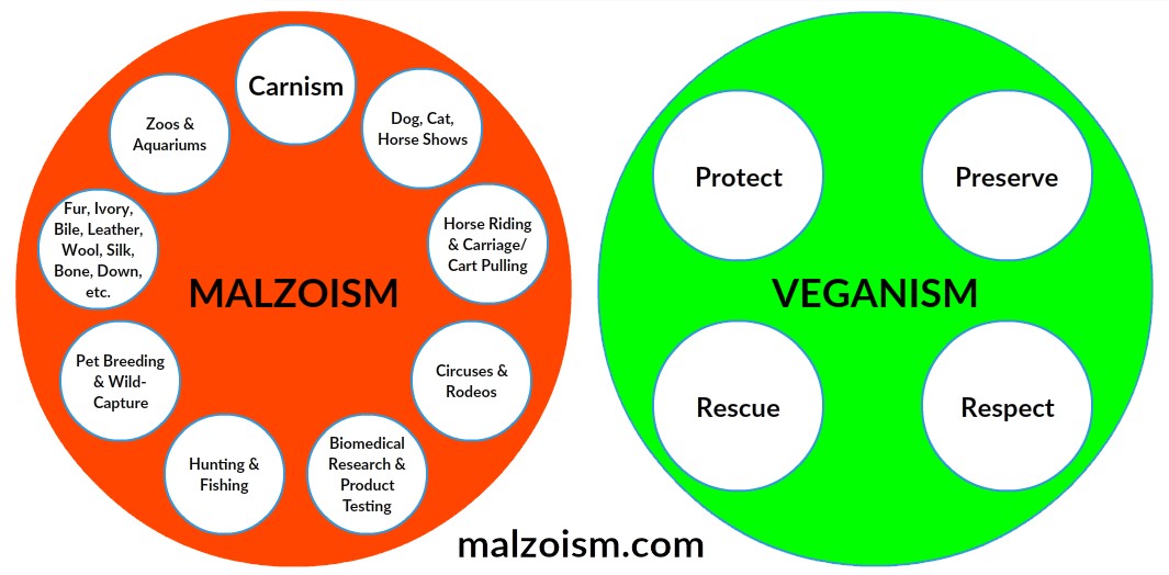 Venn Diagram depicting the differences between Malzoism vs Veganism. Bottom line, there is no overlap as vegans are not malzoans and thus, do not engage in malzoism.